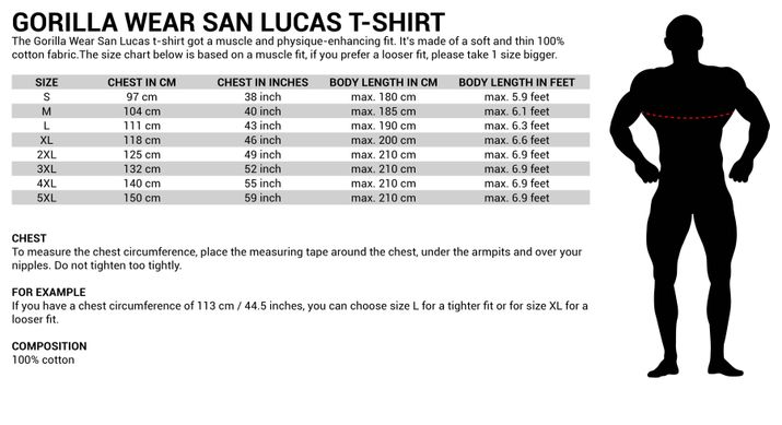 Чоловіча спортивна футболка San Lucas T-shirt (Blue) Gorilla Wear (USA) F-63 фото